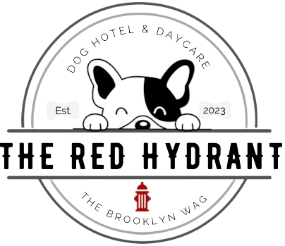 The Red Hydrant Dog Hotel and Daycare